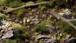 Tiny Tufts Light Green - Tiny -Warsenal Tiny Light Green 1600x900 91defd40 489b 4ee7 8612 eb04b4b8387f