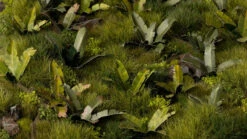 Laser Plants - Banana Tree