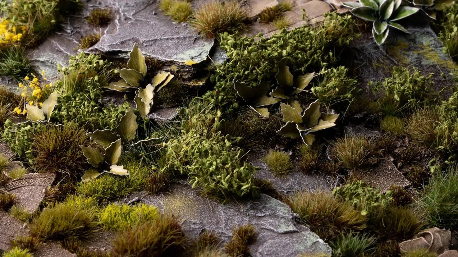 Dark Green Shrubs - Wild 4 Dark Green Shrubs - Wild - Image 2