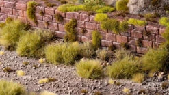 Dry Green Tufts XL 12MM - Wild XL -Warsenal dry green xl 1600x900 e7b4c38a 55ef 408a bc6a 4f27f61ce3a0