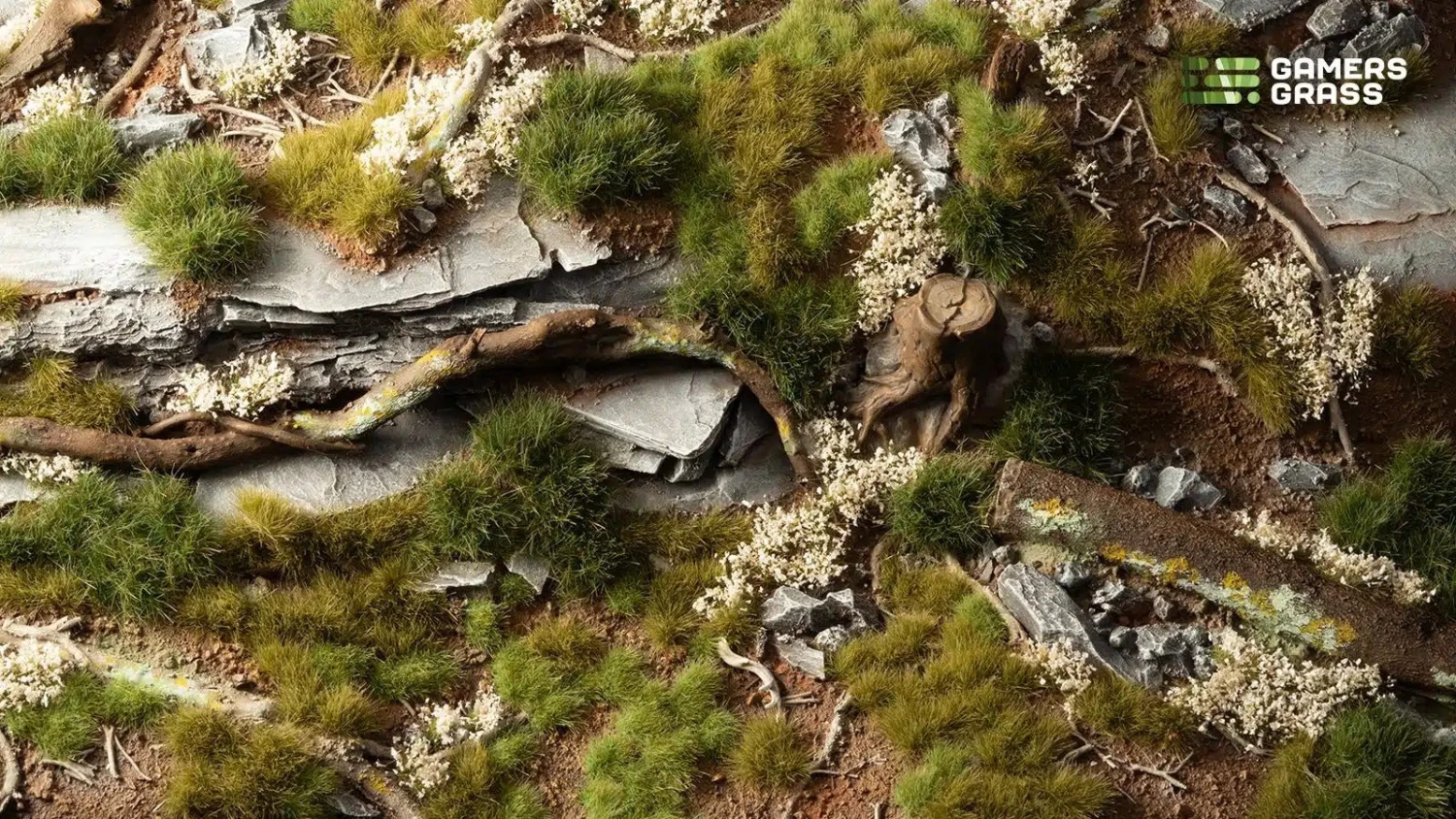 Starter Box - Green Grass Tuft 4 Starter Box - Green Grass Tuft - Image 2