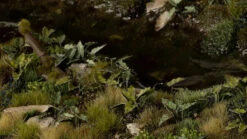 Laser Plants - Lords And Ladies