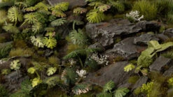 Laser Plants - Monstera