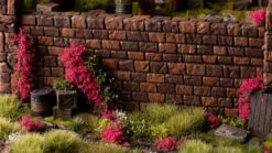 Pink Flowers - Wild -Warsenal pink flowers 1600x900 d1ec7acf 11e9 4ce4 aaa5 553a0567b51f