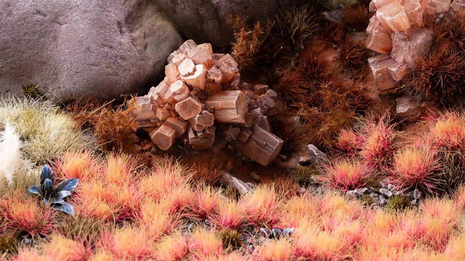 Warsenal -Warsenal alien pink 1600x900 92886cb2 e17c 41e9 97e8 060483c3088e